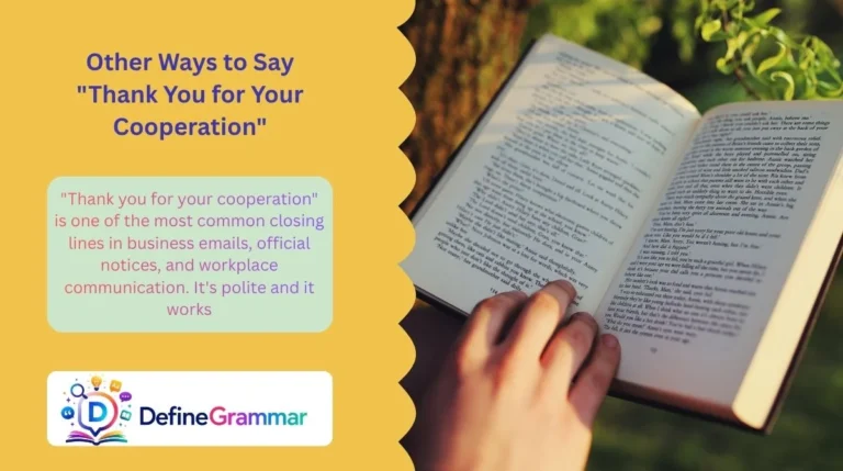 Other Ways to Say "Thank You for Your Cooperation"