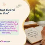 "I Have Not Heard From You"