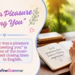 "It Was a Pleasure Meeting You"
