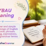 SYBAU Meaning