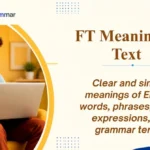 FT Meaning in Text