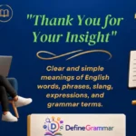 "Thank You for Your Insight"