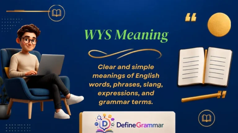 WYS Meaning